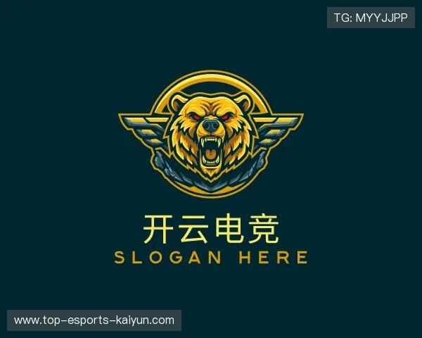 介绍开云电竞官网