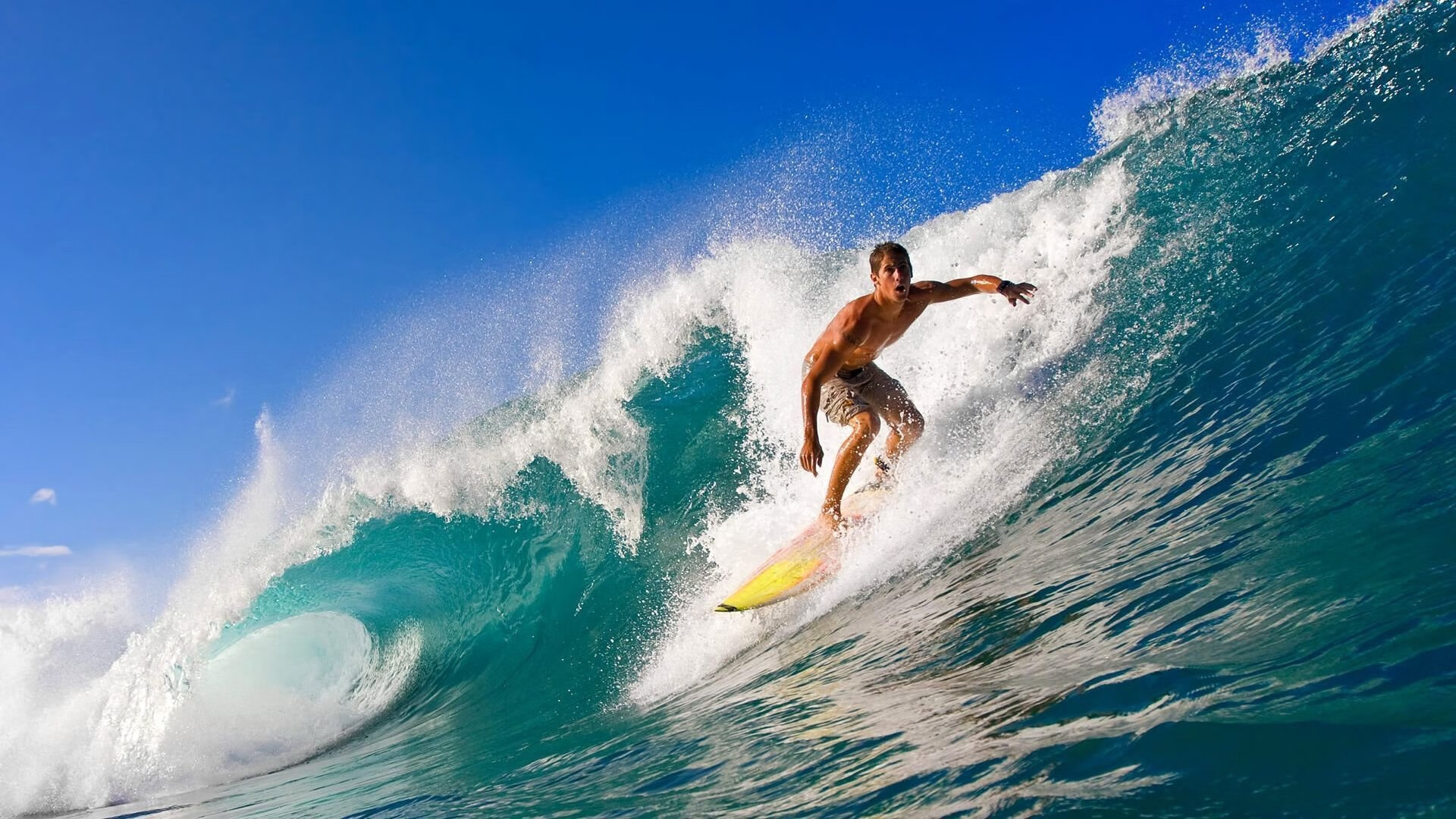 2026体育赛事排行榜，22年体育赛事